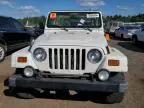 1997 Jeep Wrangler / TJ Sahara