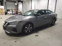 Salvage cars for sale at Assonet, MA auction: 2023 Nissan Maxima SV