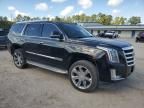 2015 Cadillac Escalade Luxury