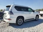 2014 Lexus GX 460 Premium