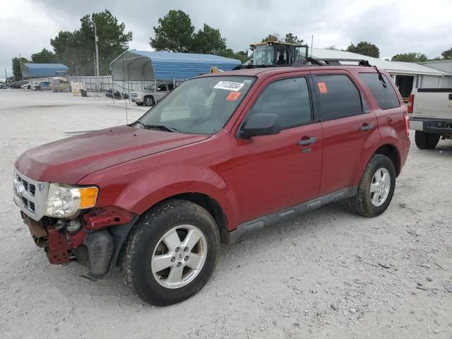 2011 Ford Escape XLT