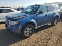 Salvage cars for sale from Copart Brighton, CO: 2009 Ford Escape XLT