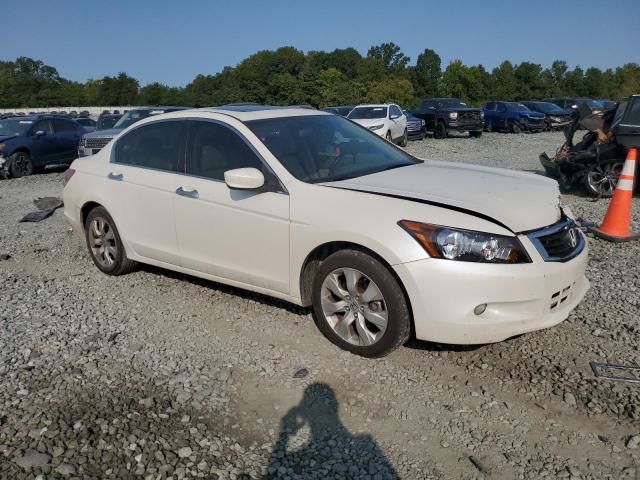 2010 Honda Accord EXL