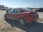 2005 Dodge Neon SXT