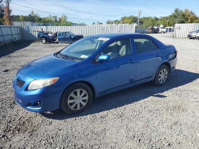 2009 Toyota Corolla Base