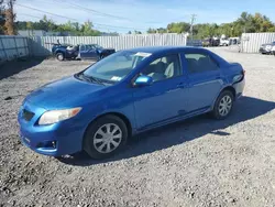 Toyota Vehiculos salvage en venta: 2009 Toyota Corolla Base