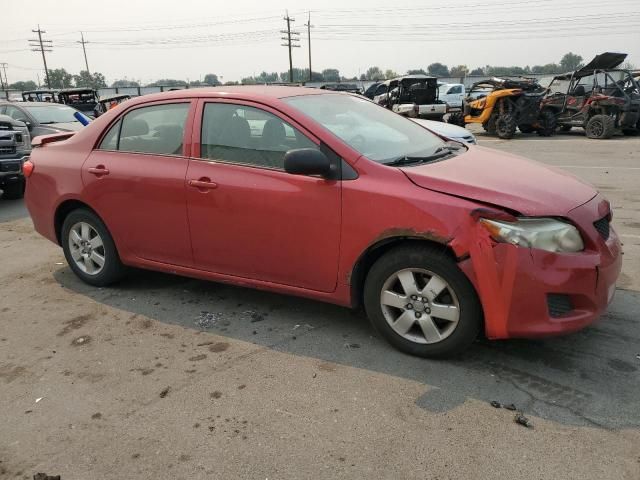 2010 Toyota Corolla Base