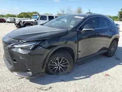 Salvage cars for sale at San Antonio, TX auction: 2024 Lexus NX 250 Premium