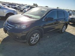 Salvage cars for sale at Antelope, CA auction: 2013 Honda CR-V EX