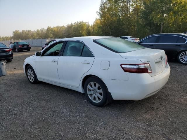 2009 Toyota Camry Hybrid