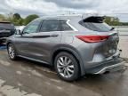 2020 Infiniti QX50 Pure