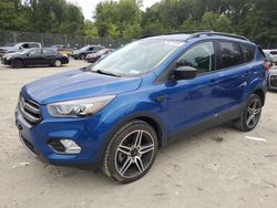 Salvage cars for sale at Waldorf, MD auction: 2019 Ford Escape SEL