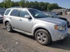 2010 Ford Escape Limited