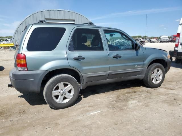 2005 Ford Escape HEV