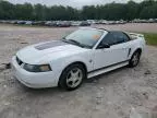 2004 Ford Mustang