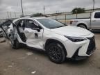 2024 Lexus NX 250 Premium