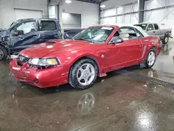 Salvage cars for sale at Ham Lake, MN auction: 2004 Ford Mustang