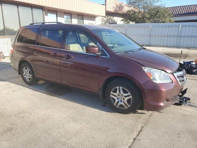 2007 Honda Odyssey EXL