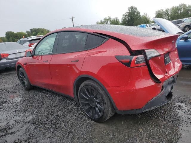 2020 Tesla Model Y