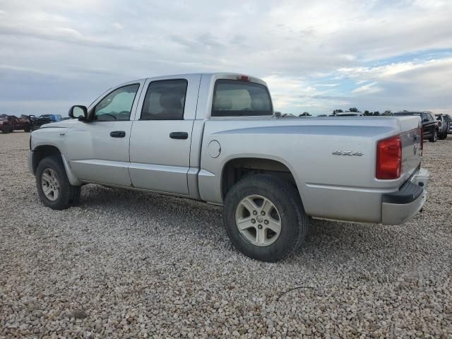 2010 Dodge Dakota SXT