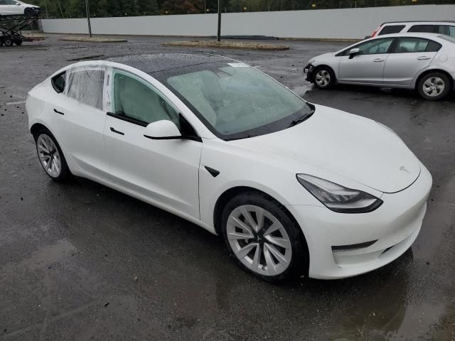 2021 Tesla Model 3