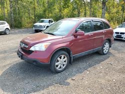 Carros salvage sin ofertas aún a la venta en subasta: 2008 Honda CR-V EXL