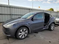 2023 Tesla Model Y en venta en Littleton, CO