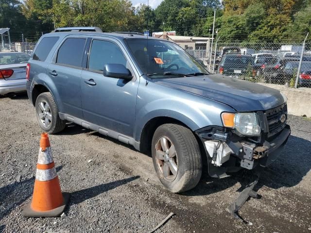 2010 Ford Escape Limited