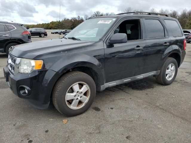 2010 Ford Escape XLT