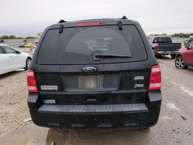 2010 Ford Escape XLT