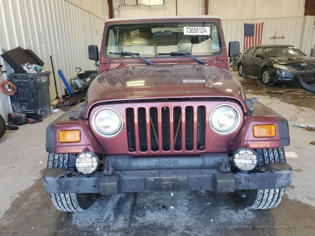 2002 Jeep Wrangler / TJ X