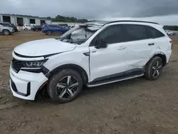 Salvage cars for sale at Conway, AR auction: 2021 KIA Sorento EX