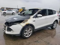 Salvage cars for sale at Grand Prairie, TX auction: 2013 Ford Escape SEL