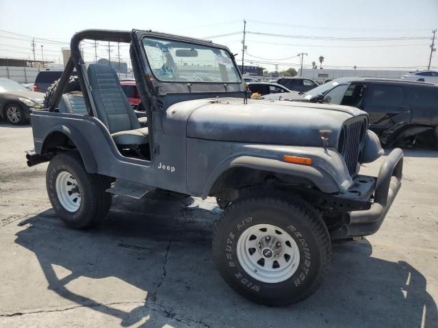 1981 Jeep Jeep CJ5