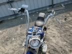 2000 Harley-Davidson Flstf