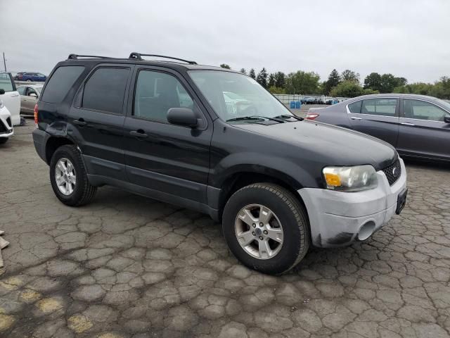 2005 Ford Escape XLT