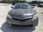 2010 Toyota Camry Hybrid