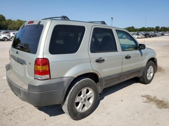 2006 Ford Escape XLT