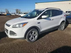 Carros con verificación Run & Drive a la venta en subasta: 2016 Ford Escape SE