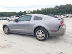 2006 Ford Mustang GT