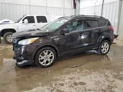 Salvage cars for sale at Franklin, WI auction: 2013 Ford Escape SE