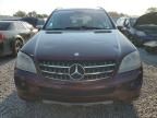 2008 Mercedes-Benz ML 350