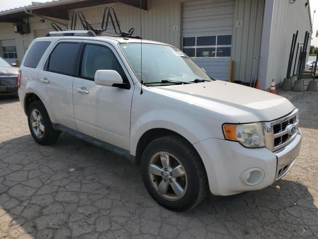 2011 Ford Escape Limited