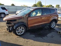 Salvage cars for sale at Littleton, CO auction: 2017 Ford Escape SE