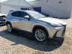 2025 Lexus NX 350H Base