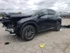 2024 Lexus NX 250 Base