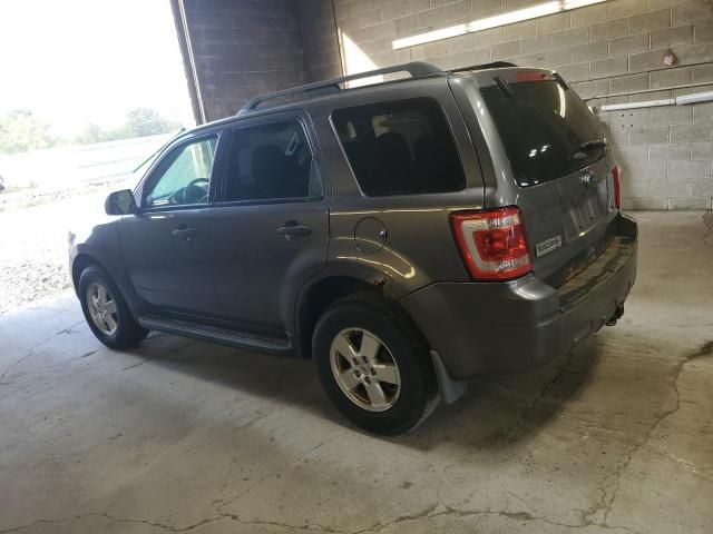 2012 Ford Escape XLT