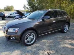 Audi q5 salvage cars for sale: 2015 Audi Q5 Premium Plus