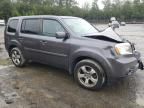 2014 Honda Pilot EXL