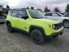 2018 Jeep Renegade Trailhawk